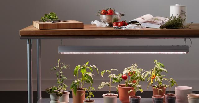 GE Grow Lights Garden to Table