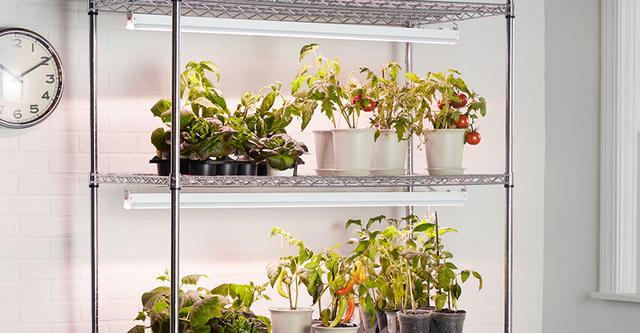 GE Grow Lights Seeds and Greens